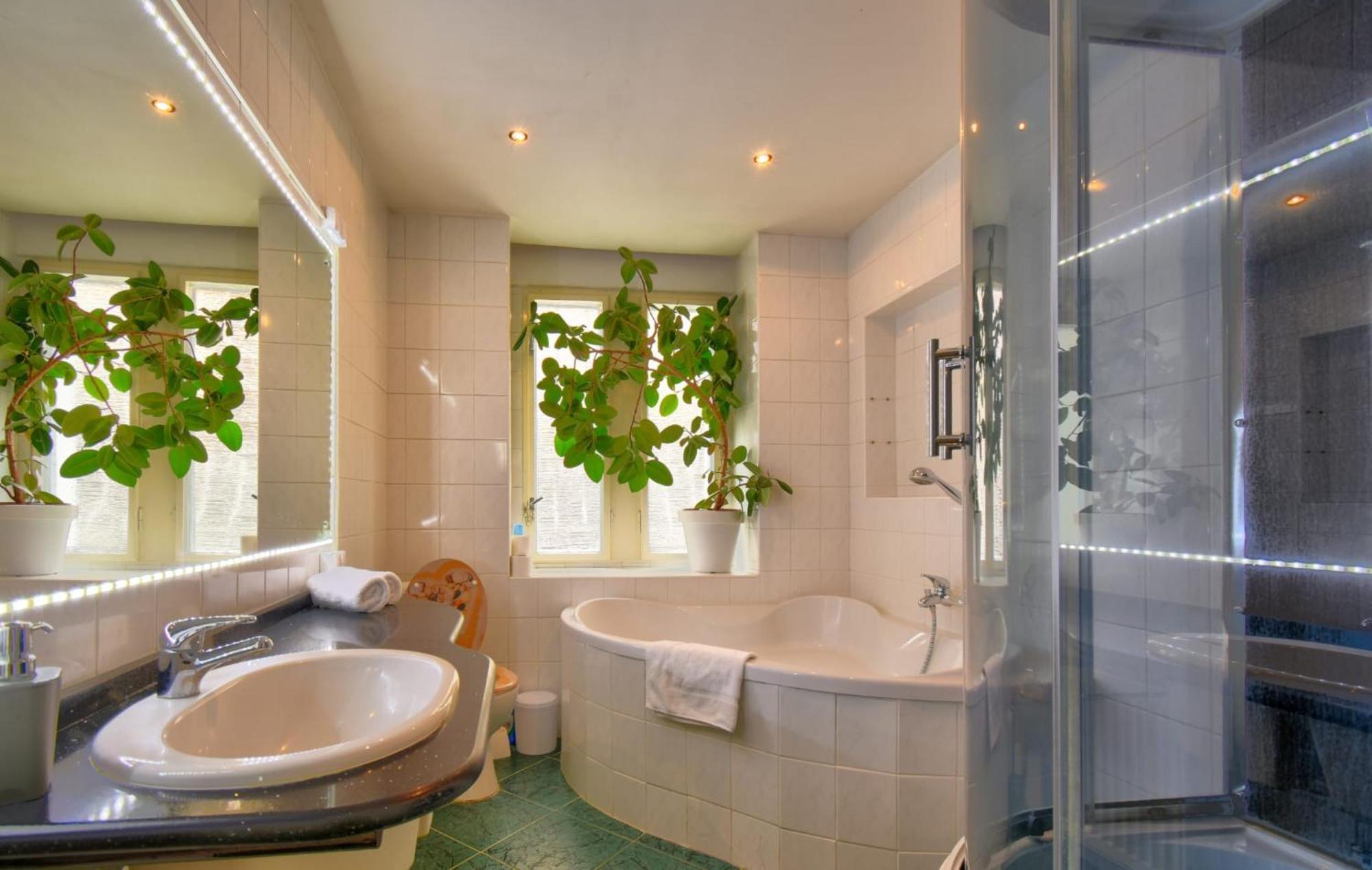 Promenade Apartment Karlovy Vary
